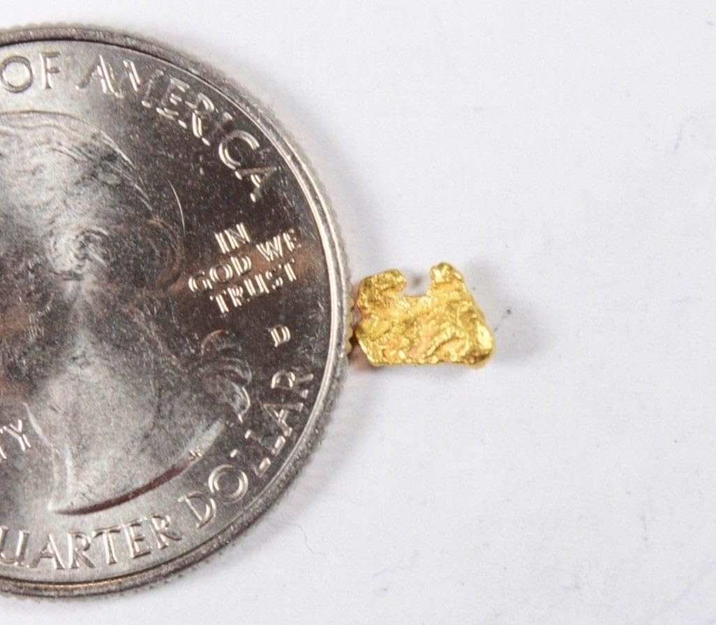 Alaskan-Yukon BC Gold Rush Natural Gold Nugget 0.28 Grams Genuine