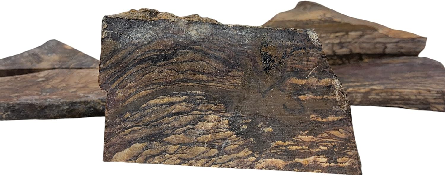 Biggs Picture Jasper, Landscape, Slab lot, cabbing Rough, #R-7168 | lapidary supplies oregon