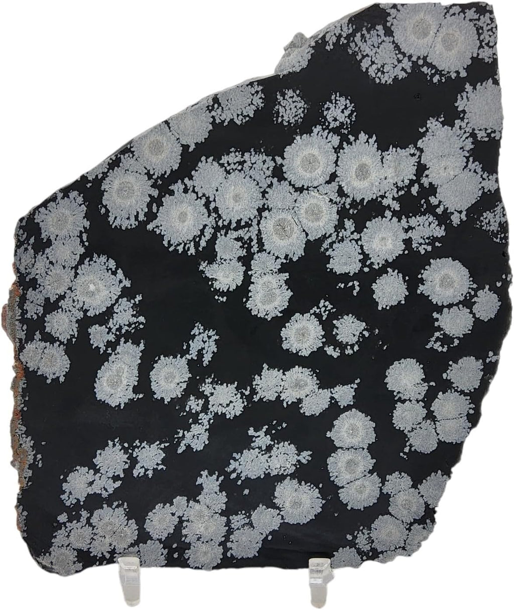 Snowflake Obsidian, slab, cabbing rough, R-5948