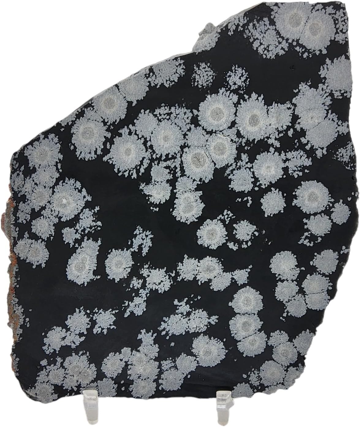 Snowflake Obsidian, slab, cabbing rough, R-5948