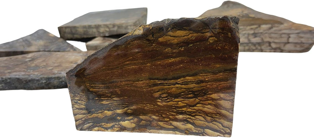 Biggs Picture Jasper, Landscape, Slab lot, cabbing Rough, #R-7168 | lapidary supplies oregon