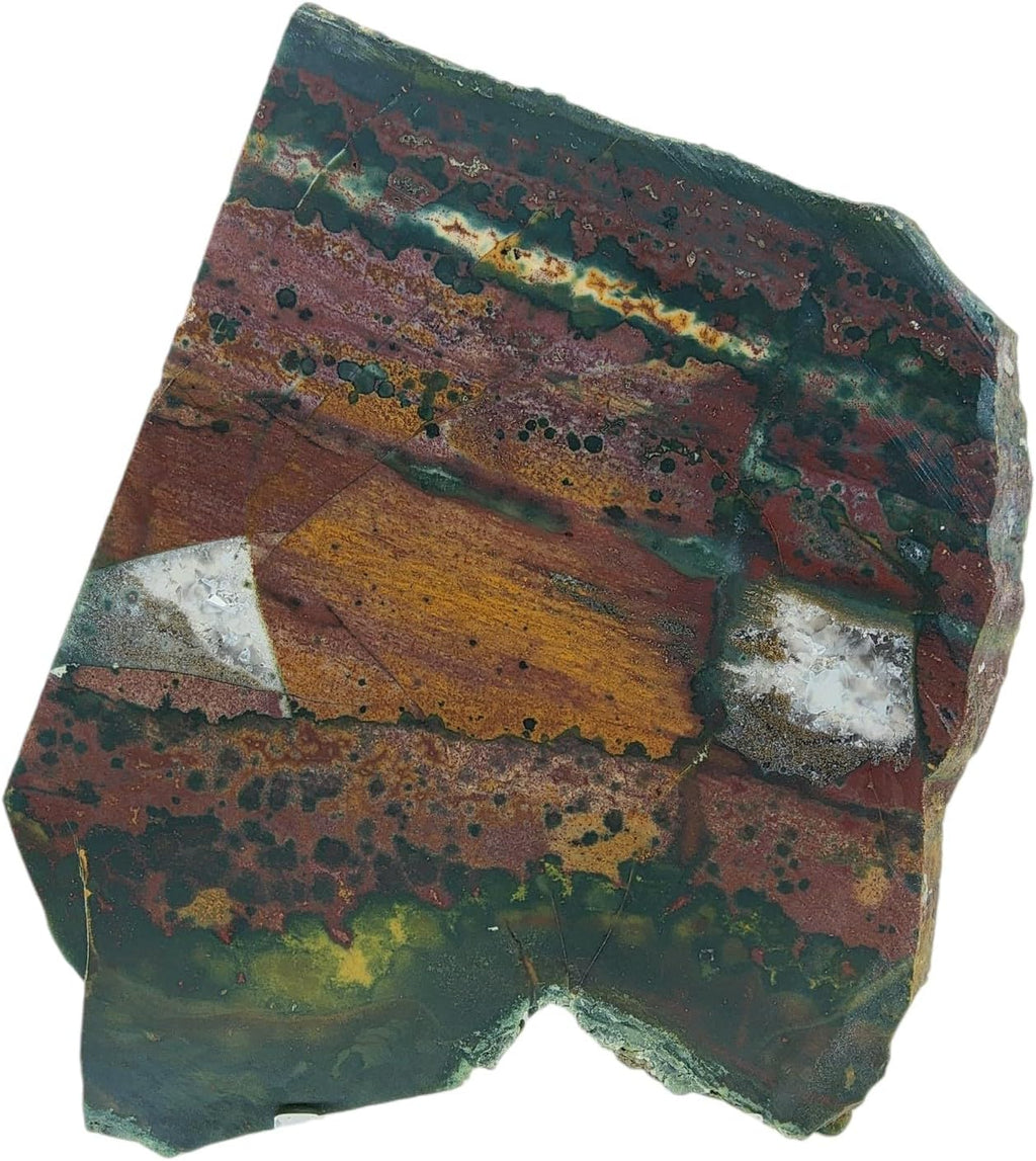 Fancy Jasper Bloodstone, Slab, cabbing Rough, #R-7040