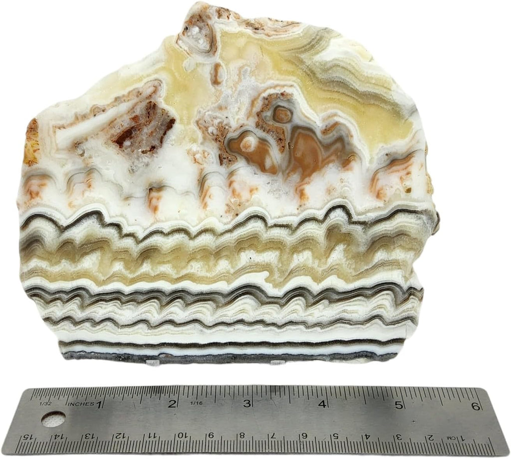 Zebra Calcite, Mexico, Slab, cabbing Rough, Lapidary, #R-7162 | lapidary supplies Mexico