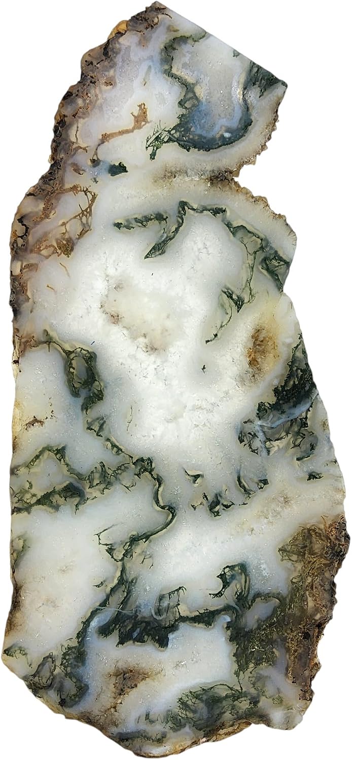 Moss Agate, Slab, cabbing Rough, Lapidary, #R-6875