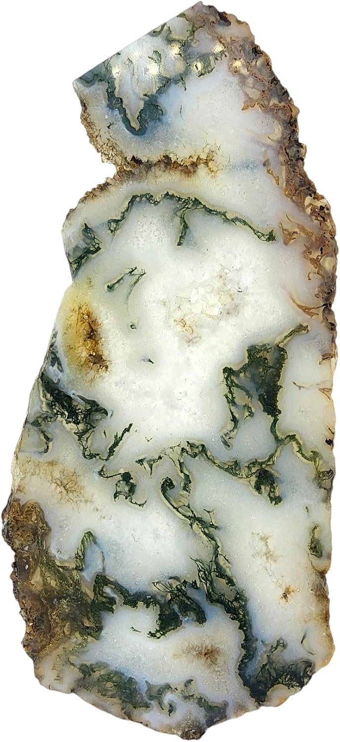 Moss Agate, Slab, cabbing Rough, Lapidary, #R-6875