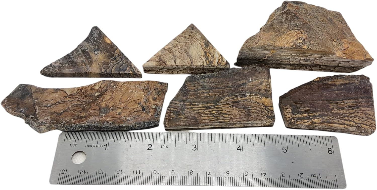 Biggs Picture Jasper, Landscape, Slab lot, cabbing Rough, #R-7168 | lapidary supplies oregon