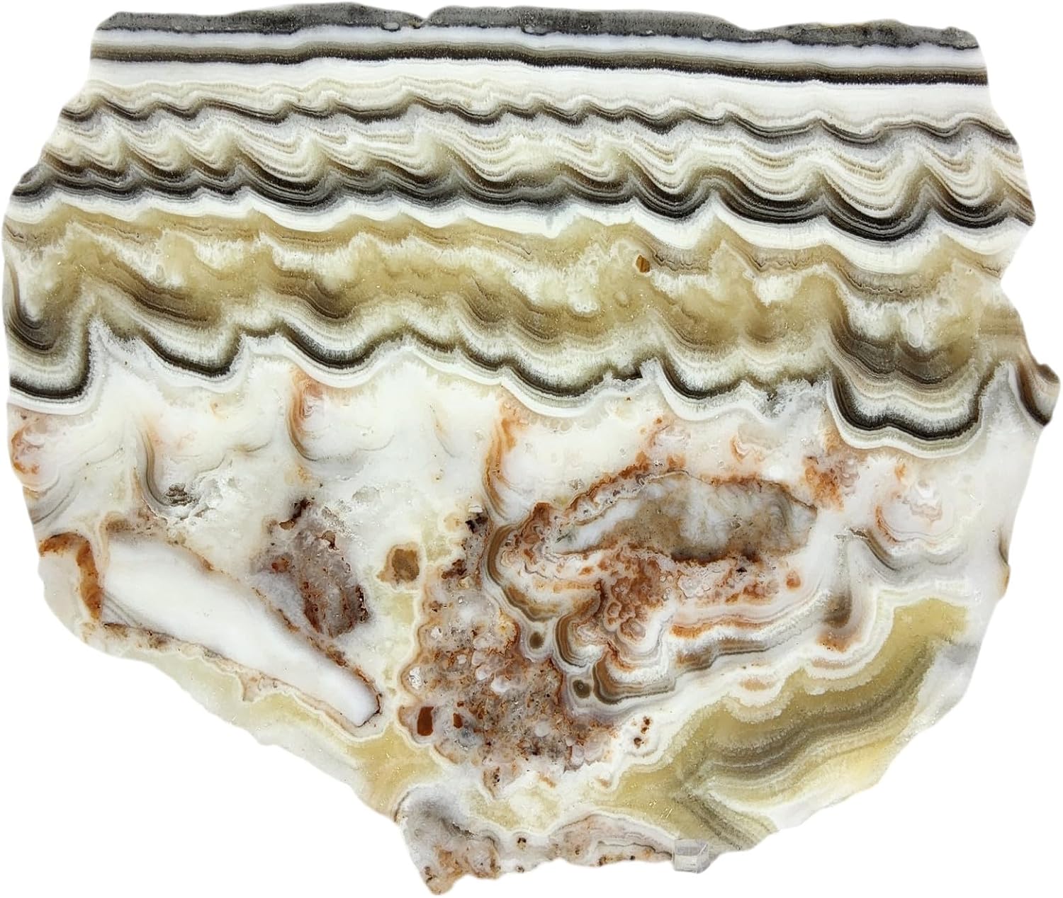 Zebra Calcite, Mexico, Slab, cabbing Rough, Lapidary, #R-7162 | lapidary supplies Mexico
