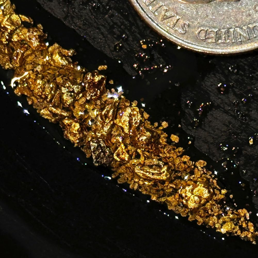 Gold Paydirt Prospecting Bag | Guaranteed Gold | Gold Rush Panning Concentrates + Lucky’s Bonus Bag | 1/4 Gram of Gold