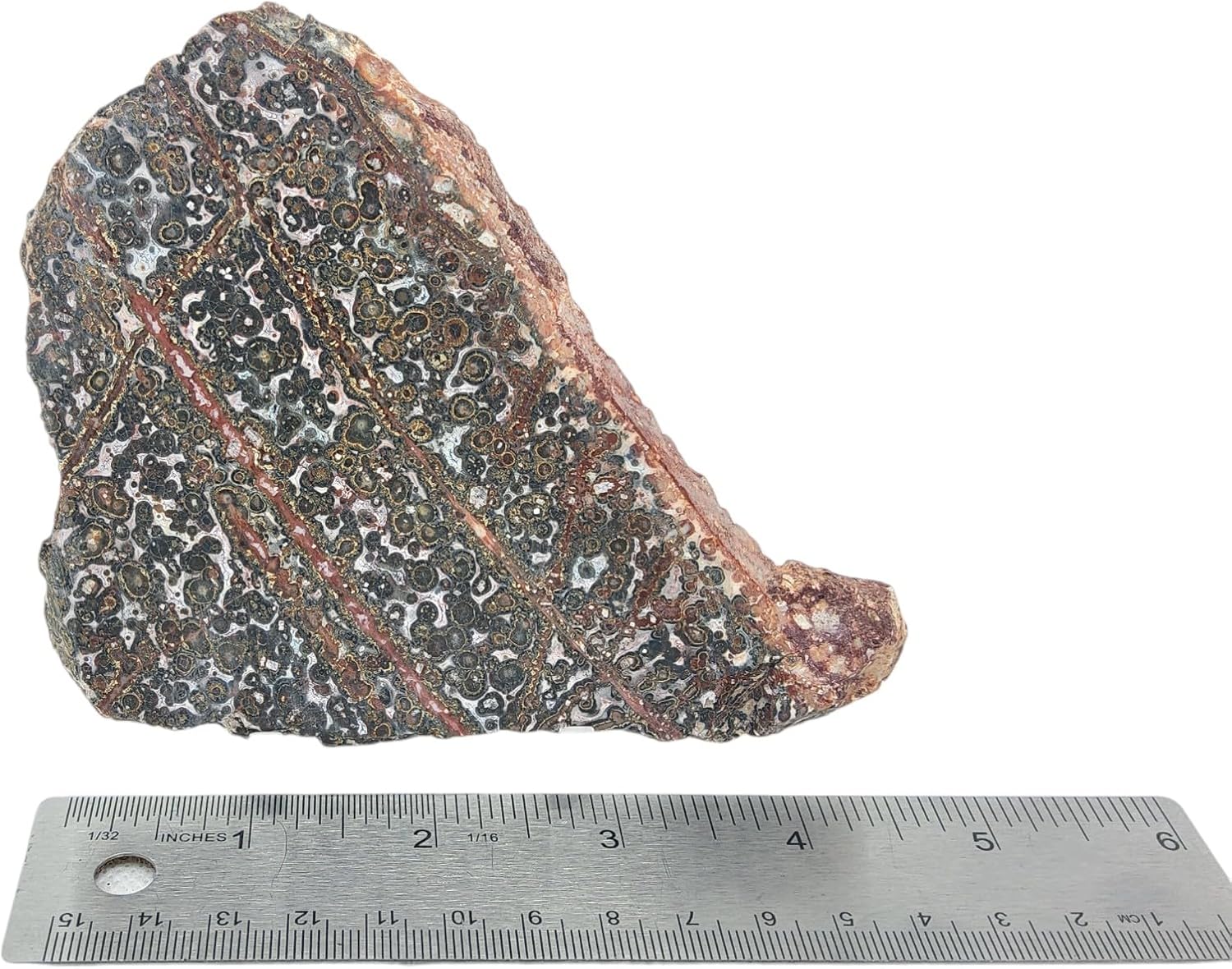 Leopard Jasper, Slab, cabbing Rough, Lapidary, #R-6862