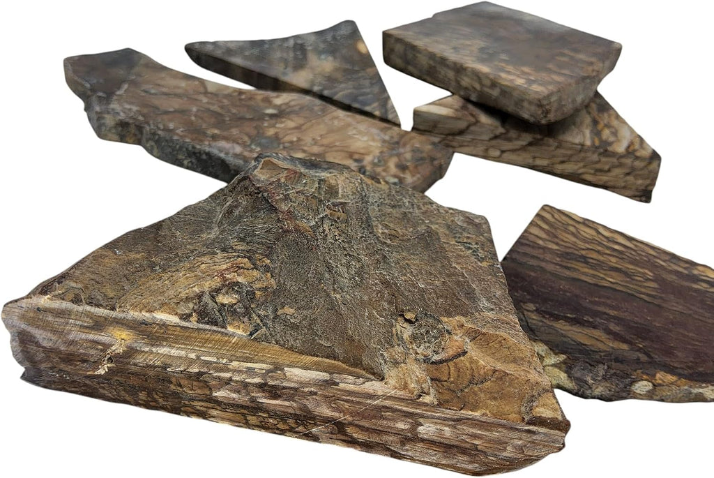 Biggs Picture Jasper, Landscape, Slab lot, cabbing Rough, #R-7168 | lapidary supplies oregon