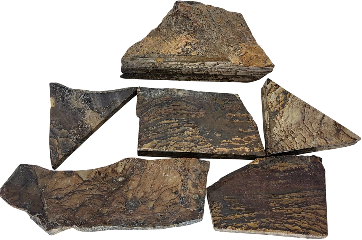Biggs Picture Jasper, Landscape, Slab lot, cabbing Rough, #R-7168 | lapidary supplies oregon