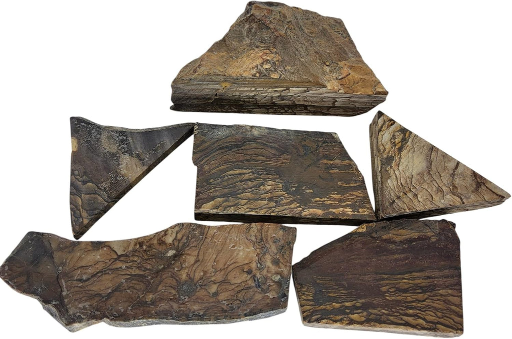 Biggs Picture Jasper, Landscape, Slab lot, cabbing Rough, #R-7168 | lapidary supplies oregon