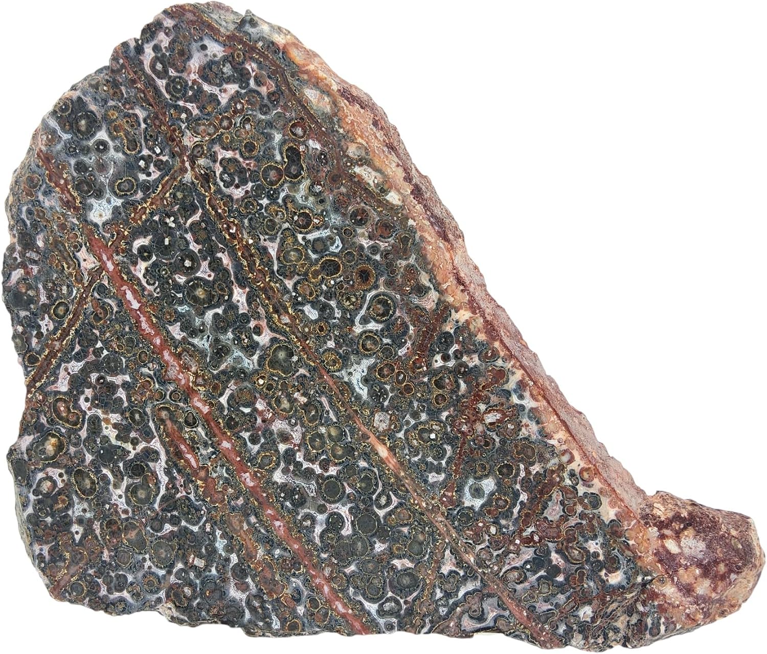 Leopard Jasper, Slab, cabbing Rough, Lapidary, #R-6862