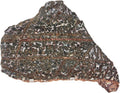 Leopard Jasper, Slab, cabbing Rough, Lapidary, #R-6862