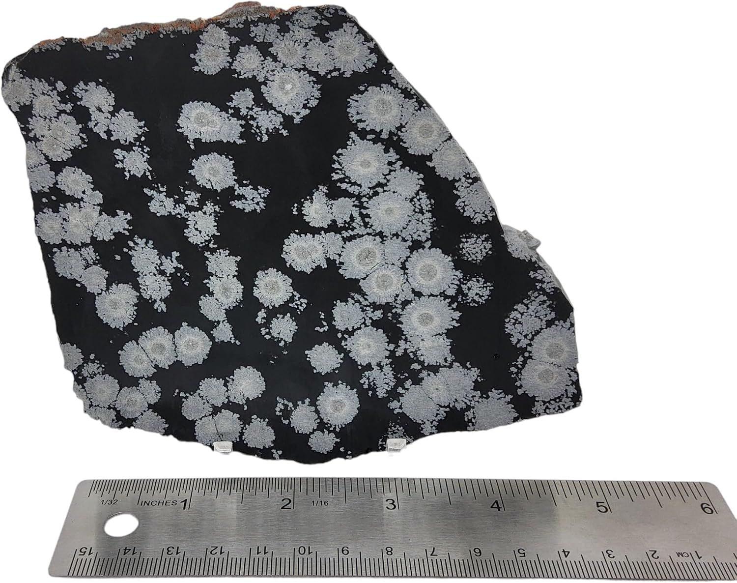 Snowflake Obsidian, slab, cabbing rough, R-5948