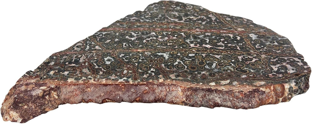 Leopard Jasper, Slab, cabbing Rough, Lapidary, #R-6862