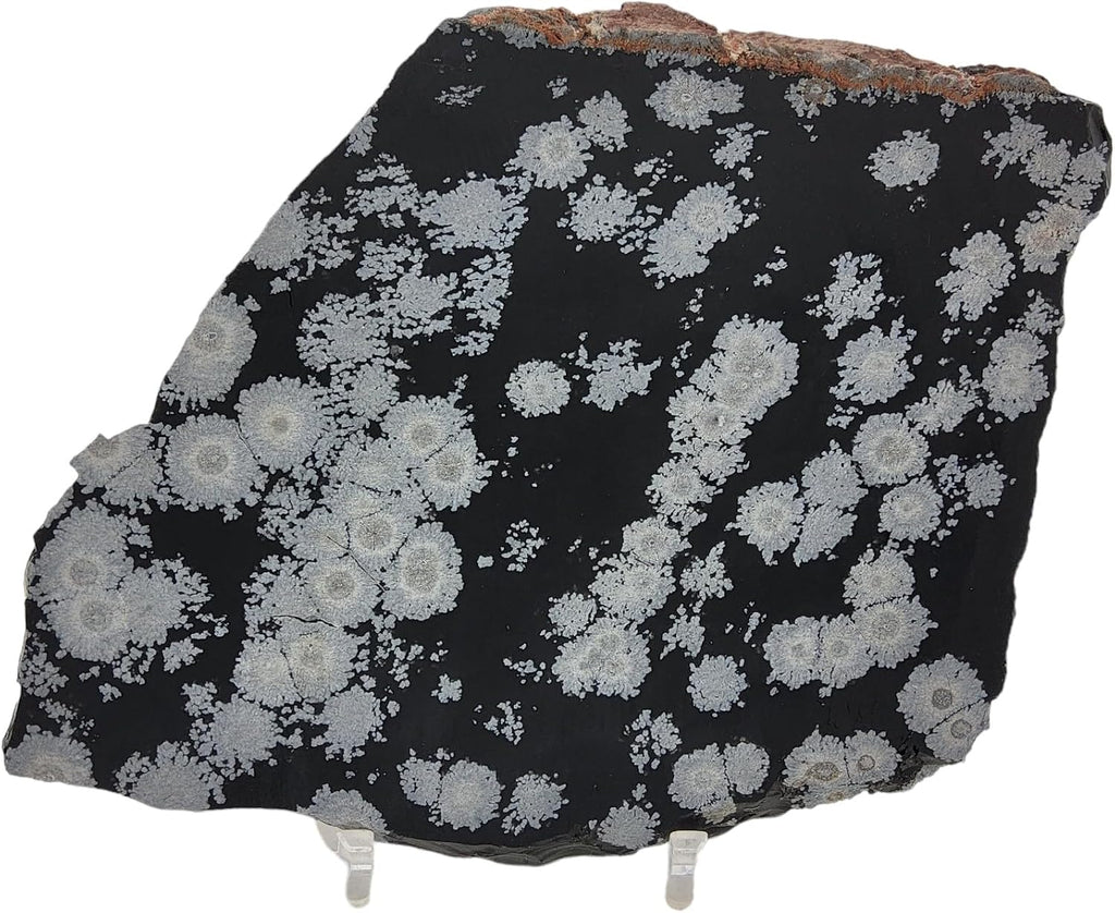 Snowflake Obsidian, slab, cabbing rough, R-5948
