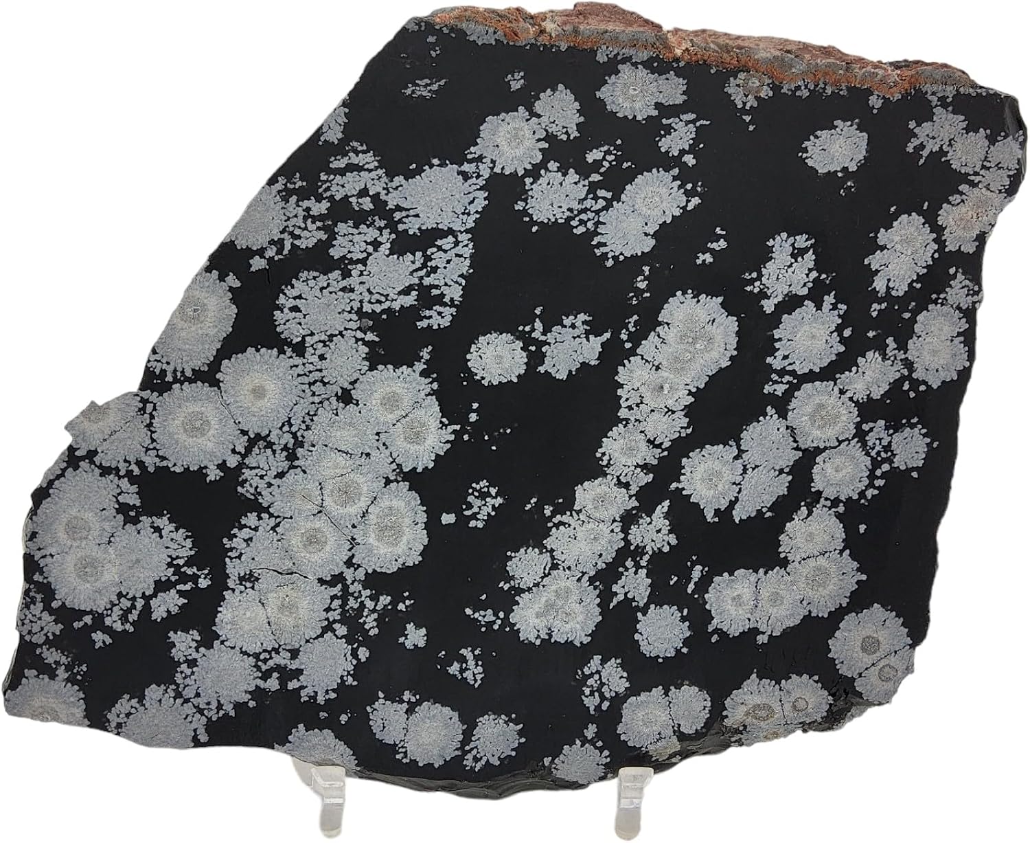Snowflake Obsidian, slab, cabbing rough, R-5948
