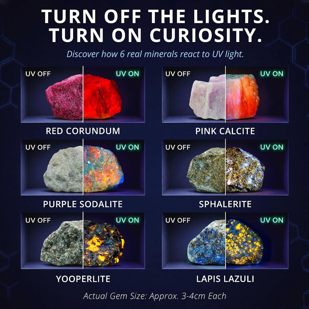 PIBEX Fluorescent Rock Science Kit with UV Flashlight - 6 Natural UV Glowing Rocks & Minerals Collection (~1.5" Each), Educational Geology Toy, Light-Up STEM Gifts for Kids Ages 6-12