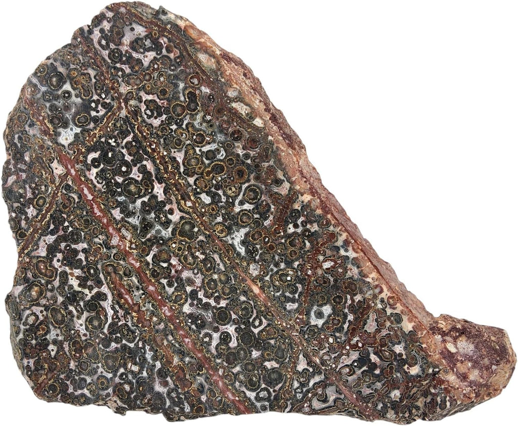 Leopard Jasper, Slab, cabbing Rough, Lapidary, #R-6862