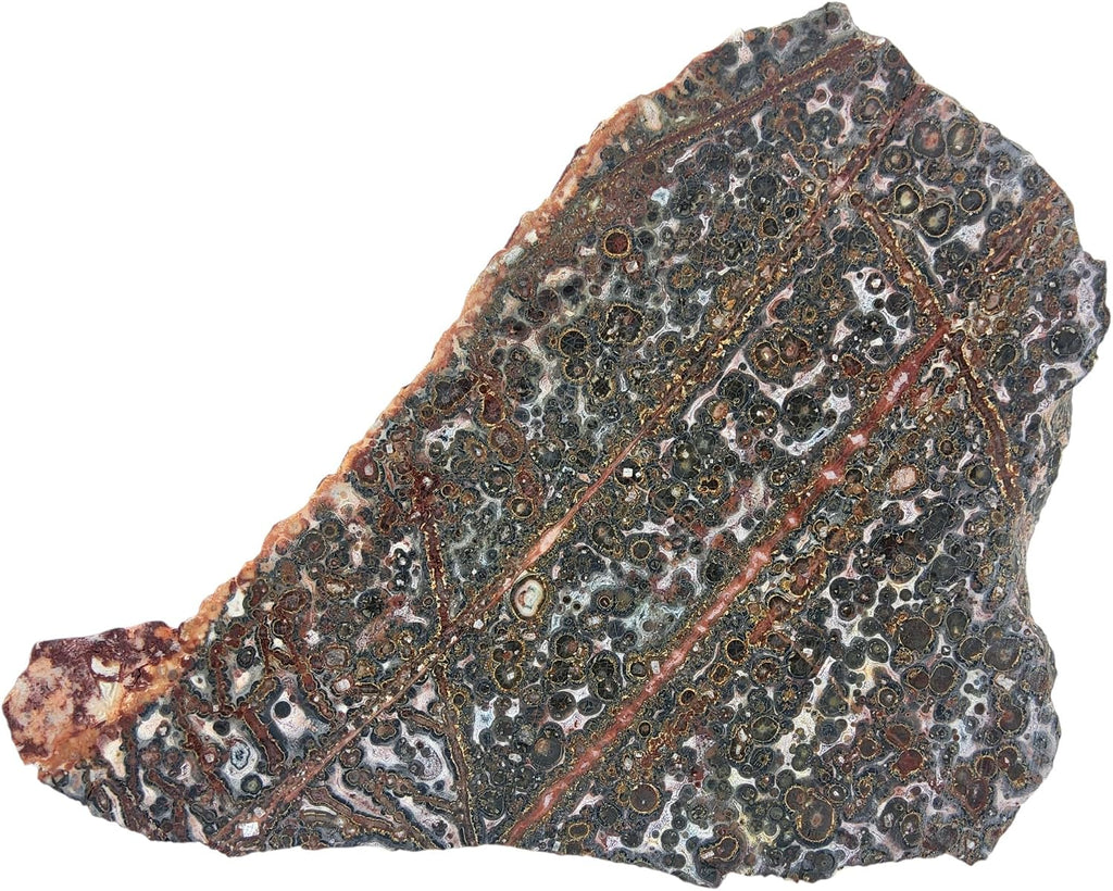 Leopard Jasper, Slab, cabbing Rough, Lapidary, #R-6862