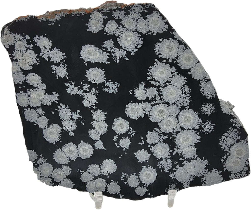 Snowflake Obsidian, slab, cabbing rough, R-5948