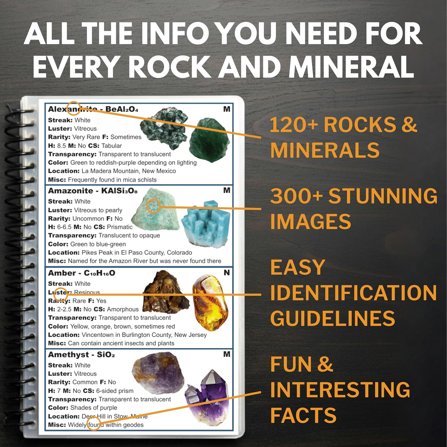 Rocks and Minerals of the United States Identification Field Guide | Thick Waterproof Coating| Find Crystals, Gems, Geodes, and Rocks | Rockhounding ... Rock Chasing [Oct 12, 2024]