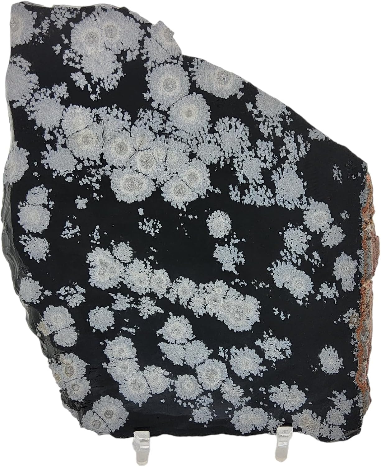 Snowflake Obsidian, slab, cabbing rough, R-5948