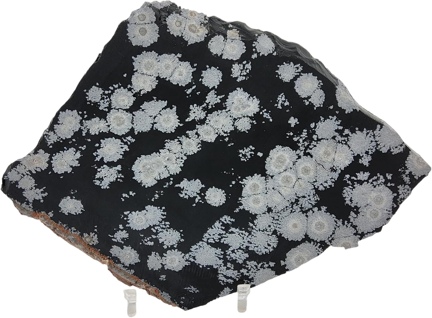 Snowflake Obsidian, slab, cabbing rough, R-5948