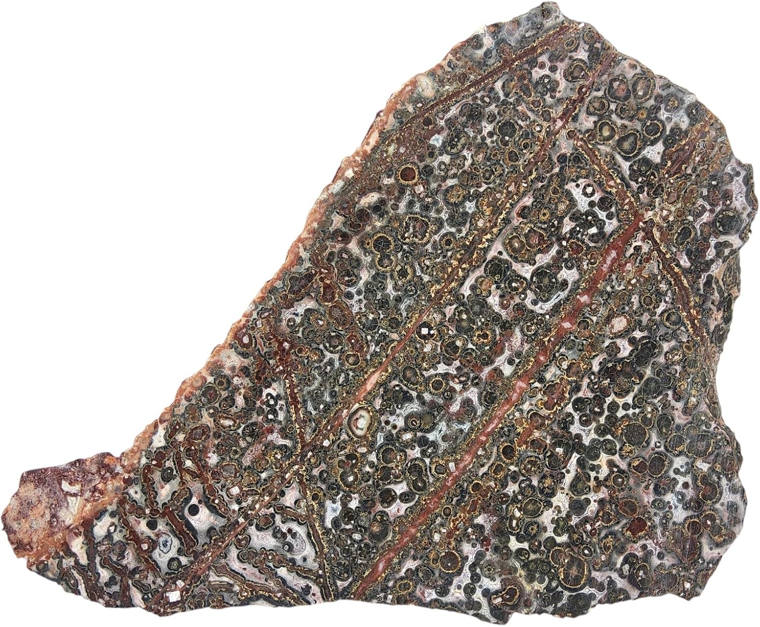 Leopard Jasper, Slab, cabbing Rough, Lapidary, #R-6862