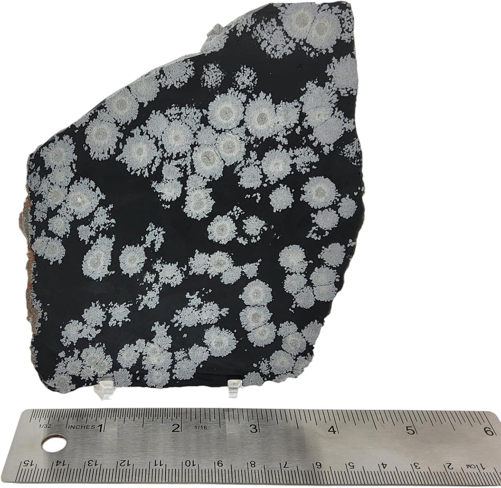 Snowflake Obsidian, slab, cabbing rough, R-5948