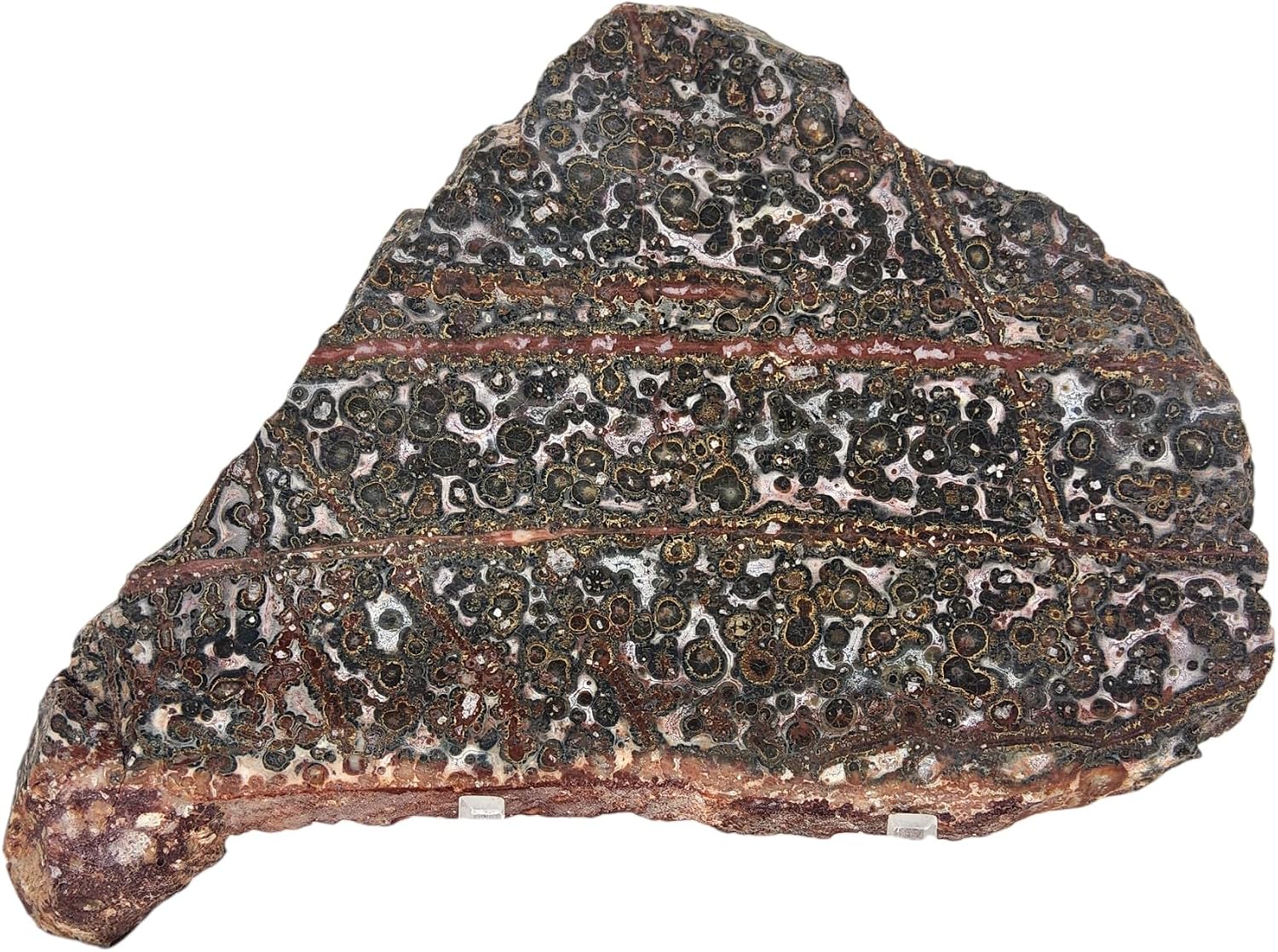 Leopard Jasper, Slab, cabbing Rough, Lapidary, #R-6862