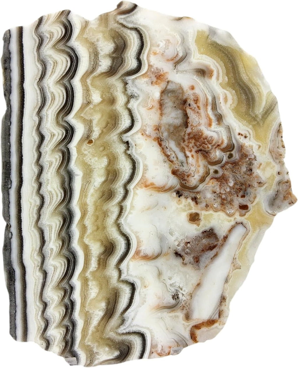 Zebra Calcite, Mexico, Slab, cabbing Rough, Lapidary, #R-7162 | lapidary supplies Mexico