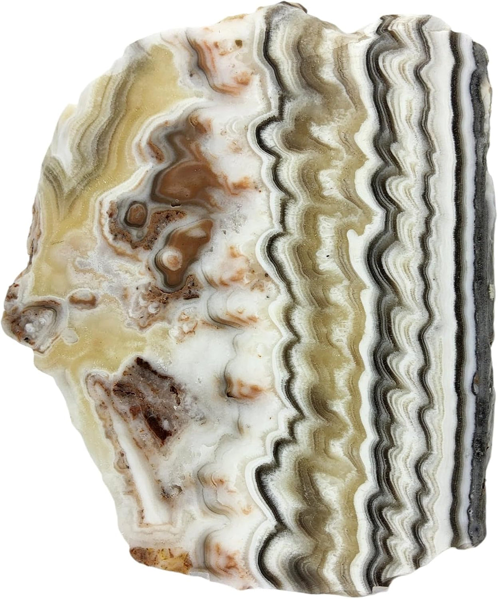 Zebra Calcite, Mexico, Slab, cabbing Rough, Lapidary, #R-7162 | lapidary supplies Mexico