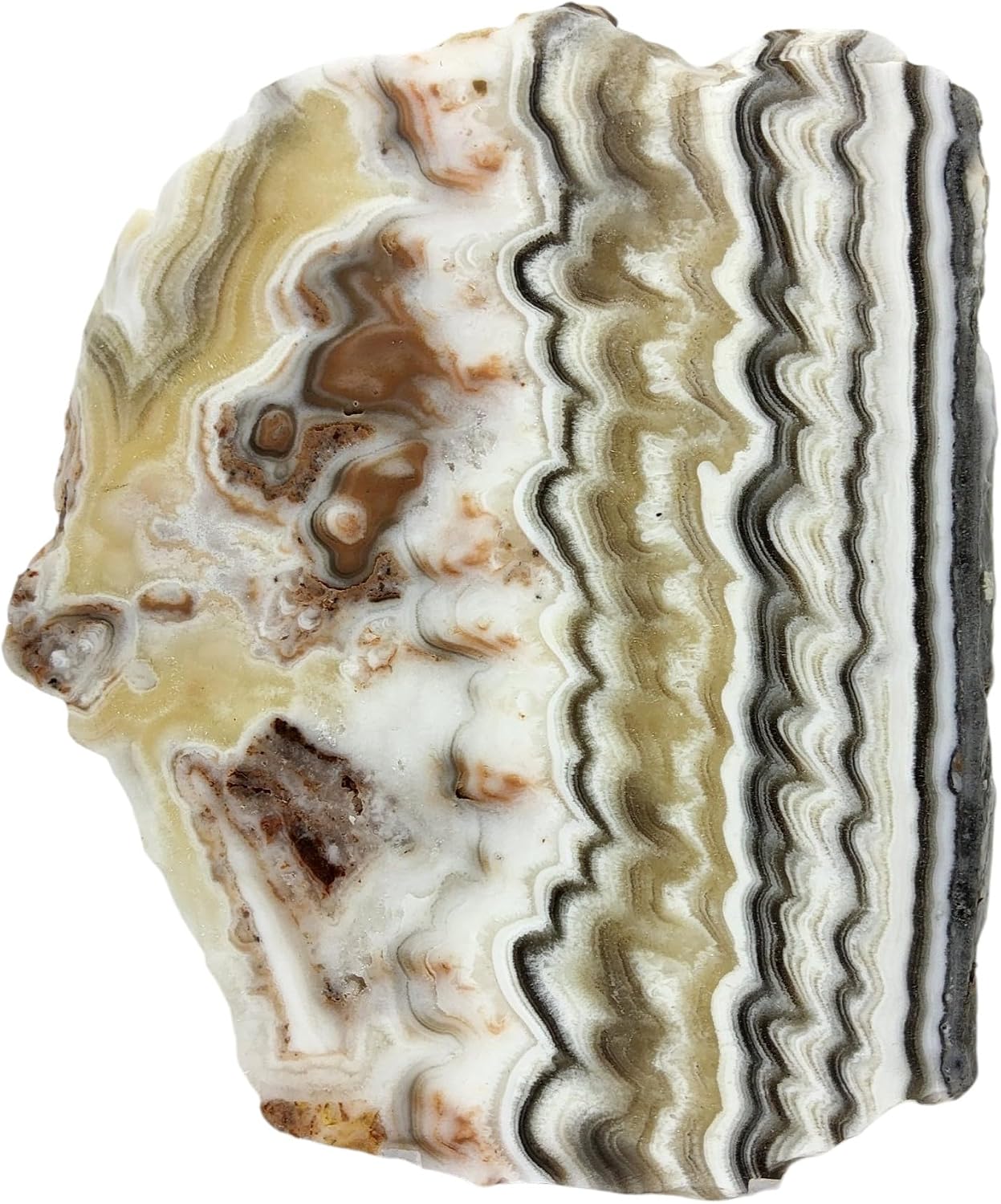 Zebra Calcite, Mexico, Slab, cabbing Rough, Lapidary, #R-7162 | lapidary supplies Mexico