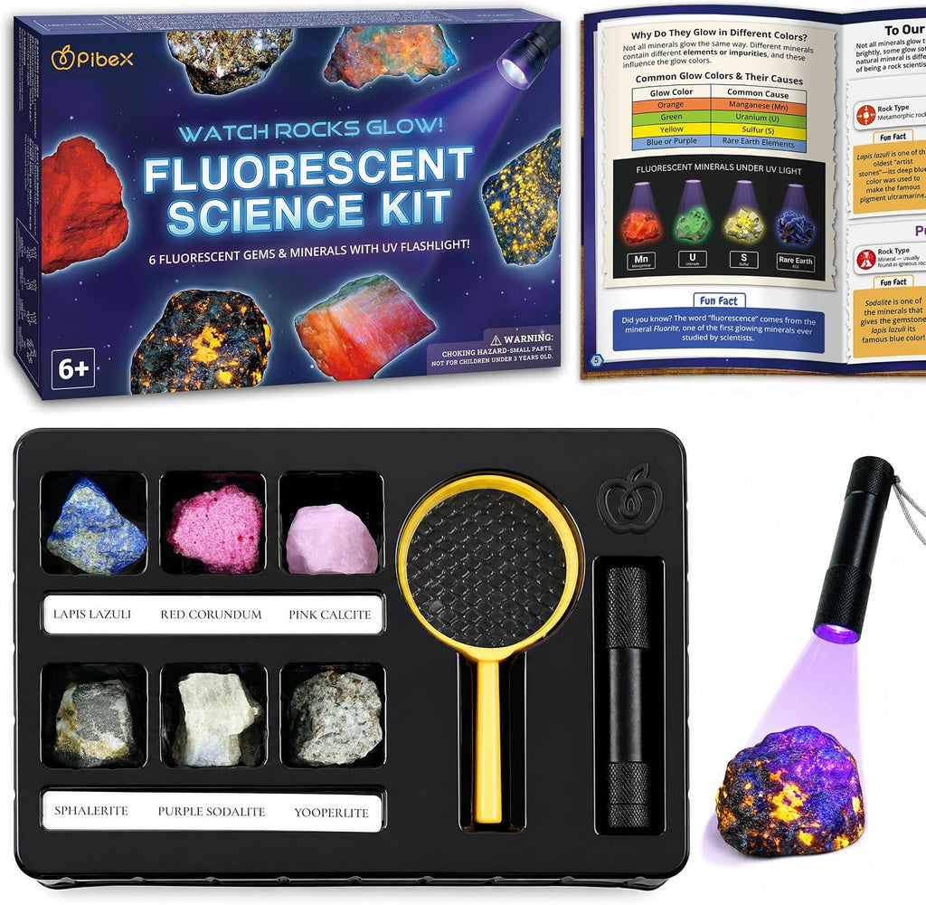PIBEX Fluorescent Rock Science Kit with UV Flashlight - 6 Natural UV Glowing Rocks & Minerals Collection (~1.5" Each), Educational Geology Toy, Light-Up STEM Gifts for Kids Ages 6-12