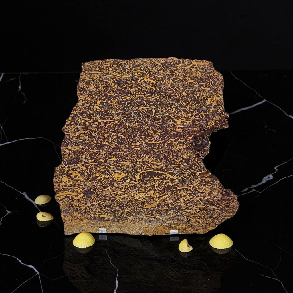 Calligraphy Jasper, Script Stone, Slab, cabbing Rough, #R-7152 | lapidary supplies India