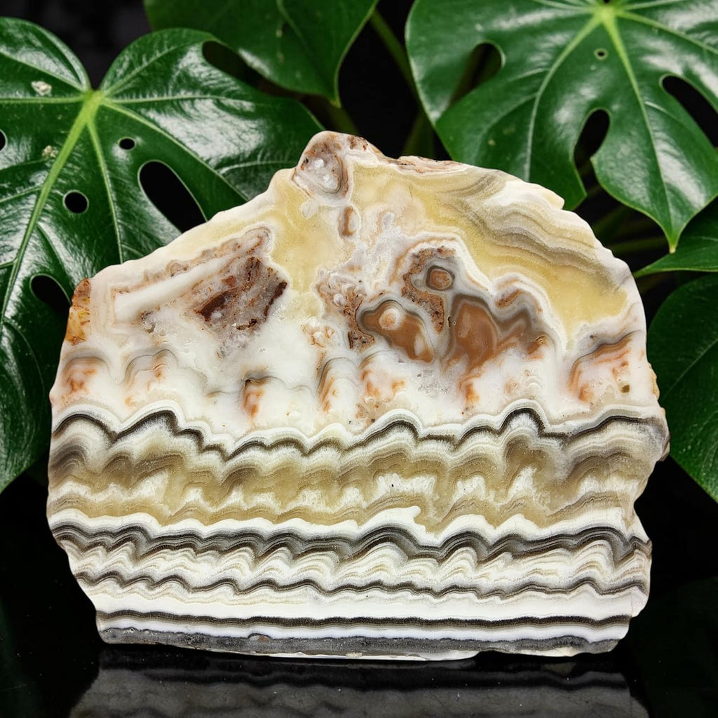 Zebra Calcite, Mexico, Slab, cabbing Rough, Lapidary, #R-7162 | lapidary supplies Mexico