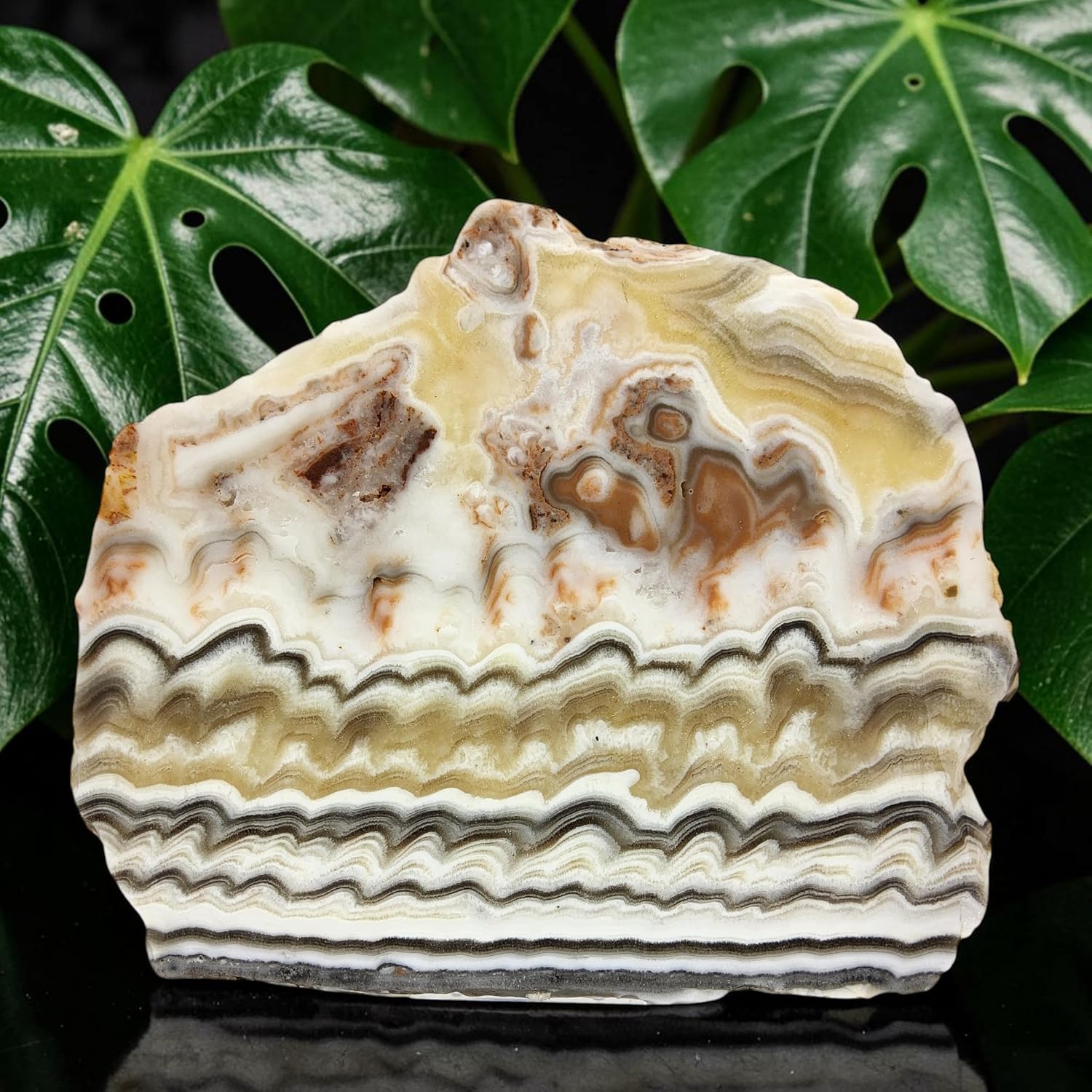 Zebra Calcite, Mexico, Slab, cabbing Rough, Lapidary, #R-7162 | lapidary supplies Mexico