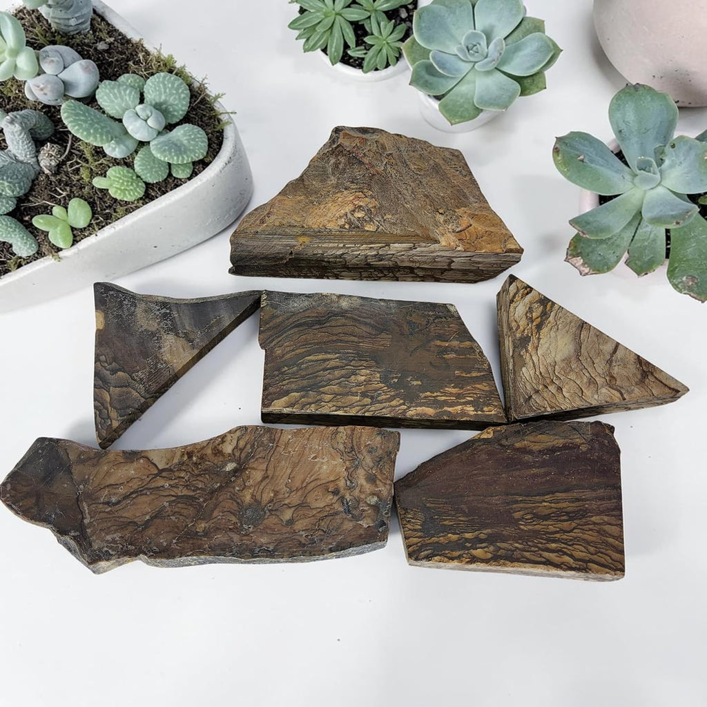 Biggs Picture Jasper, Landscape, Slab lot, cabbing Rough, #R-7168 | lapidary supplies oregon