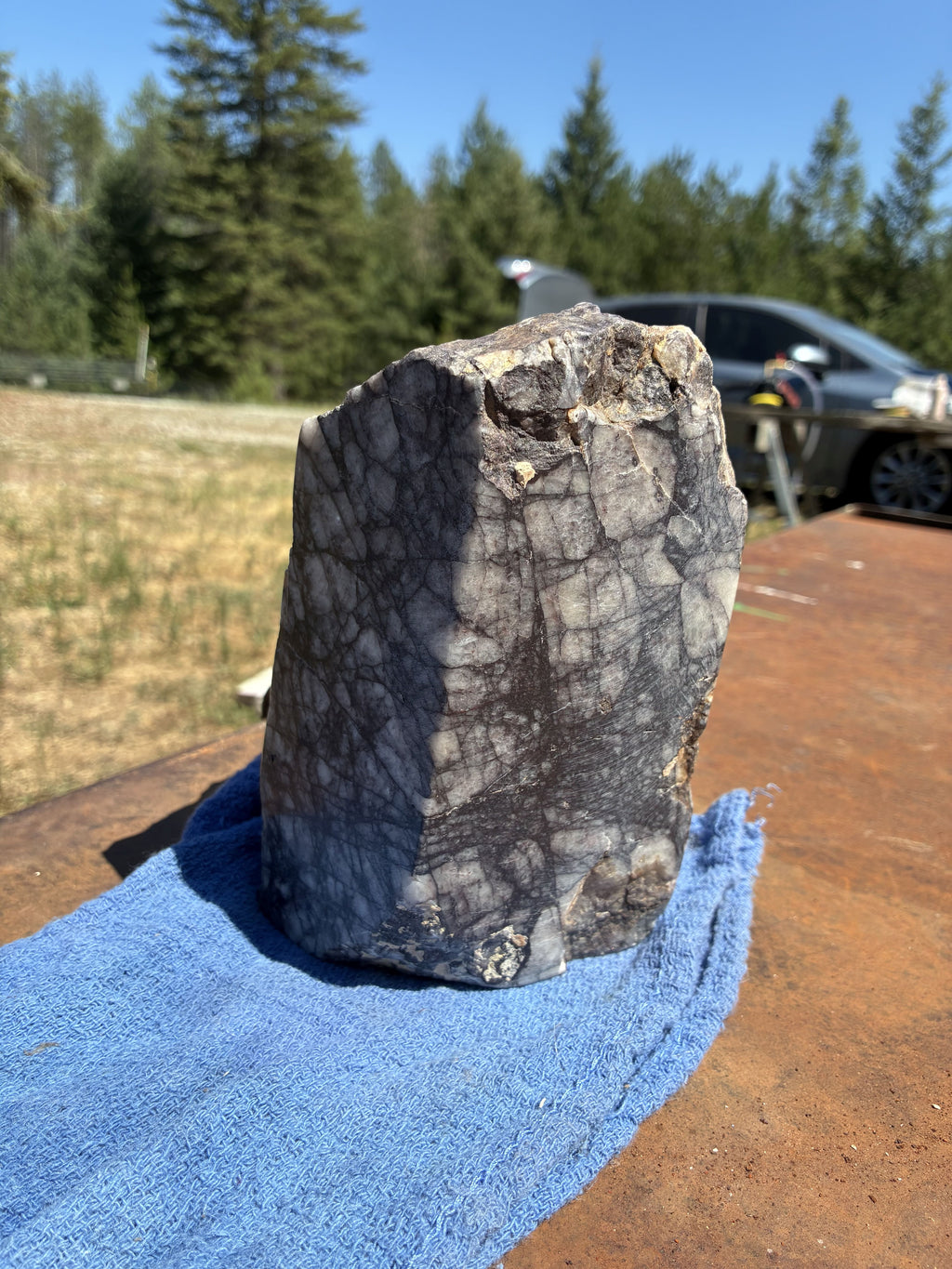 Brecciated Quartz with Hematite - Polished Display Specimen