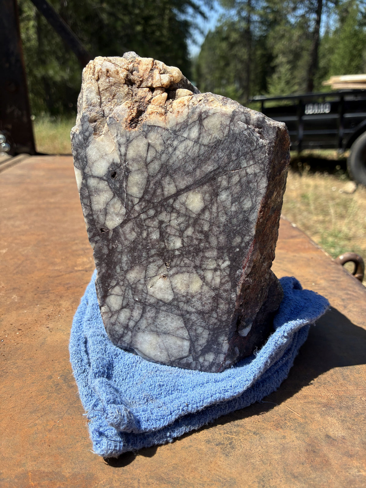 Brecciated Quartz with Hematite - Polished Display Specimen